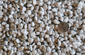 Hess Pumice: Grade 5/16C
