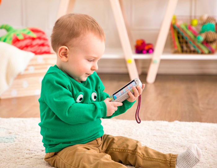 Toy smartphone.