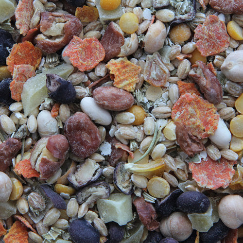 Higgins Worldly Cuisines Inca Bean Salad Bird Treats