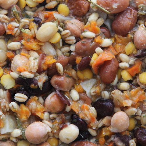 Higgins Worldly Cuisines Inca Bean Salad Bird Treats