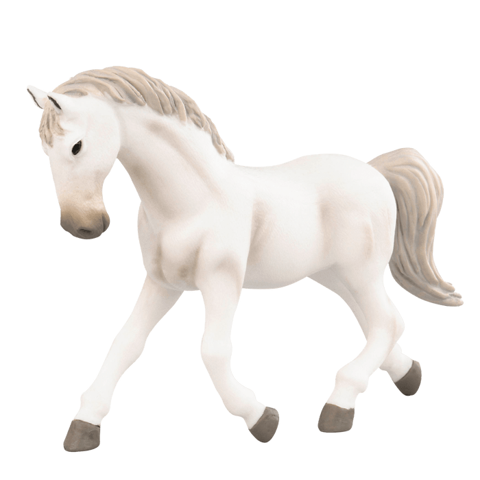 Group of horses