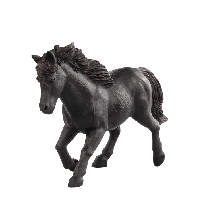 Group of horses