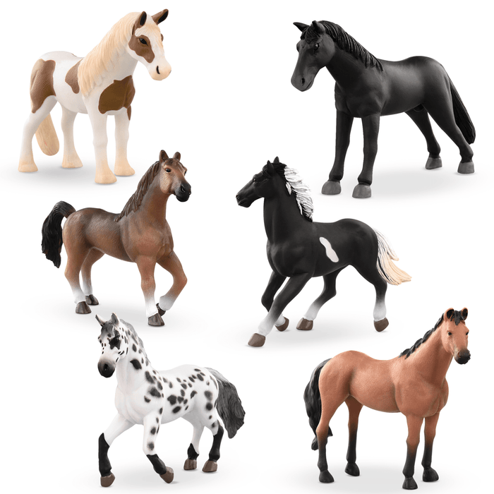horses