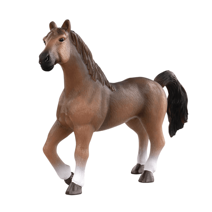 horses
