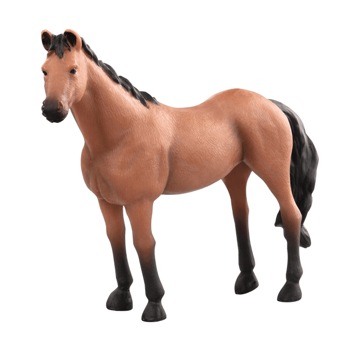 horses