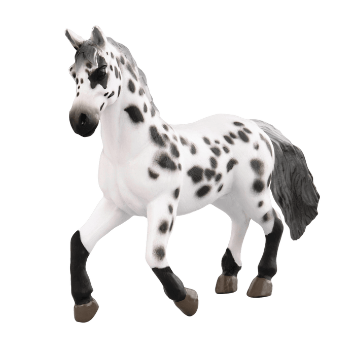 horses