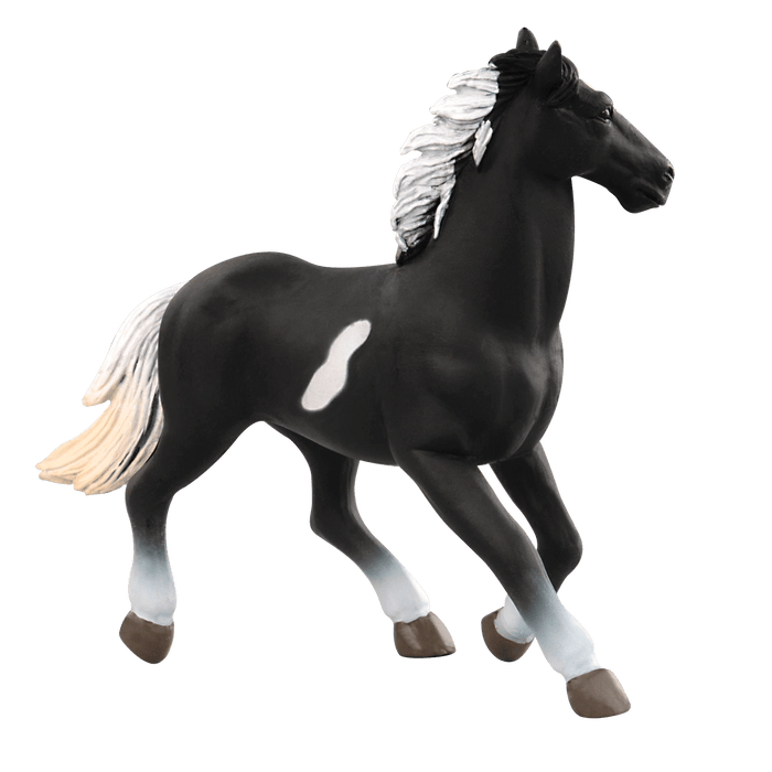 horses