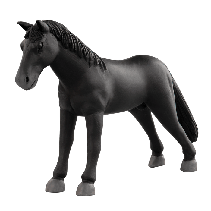 horses
