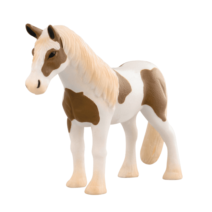 horses