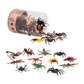 bugs insects