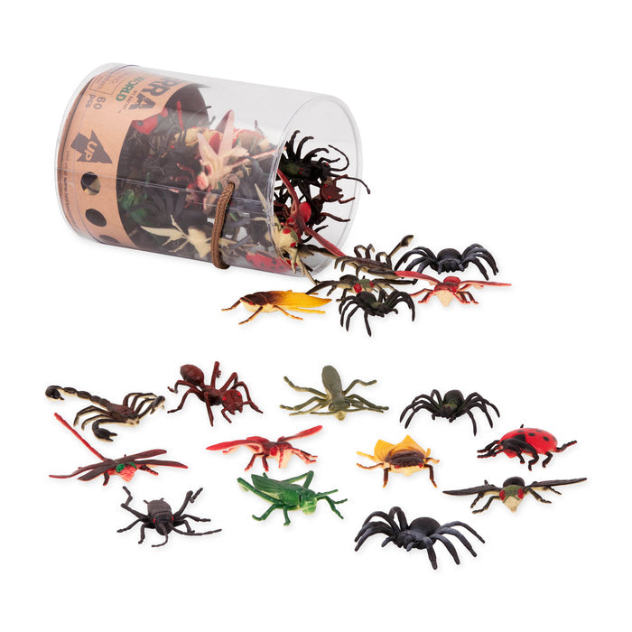 bugs insects