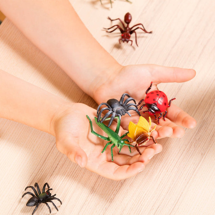 bugs insects