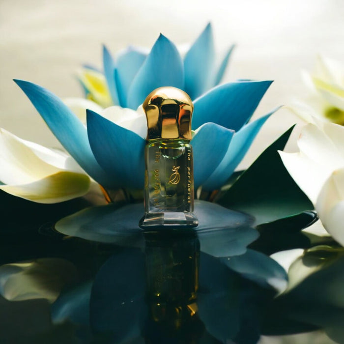 Japanese Blue Lotus Extremely Limited Batch Elegant Display