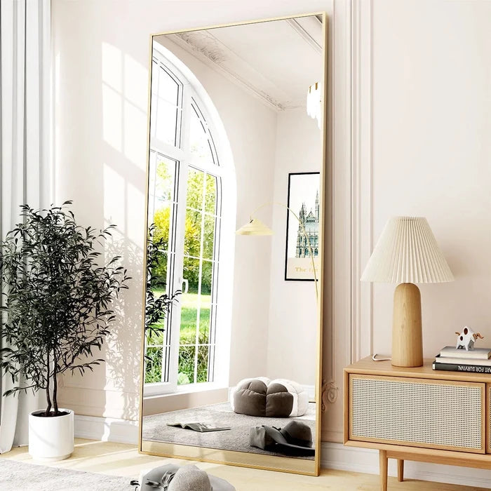Large Rectangle Full Length Standing Mirror Canva Home