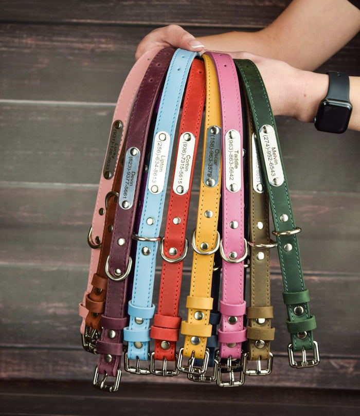 Leather collar for animals