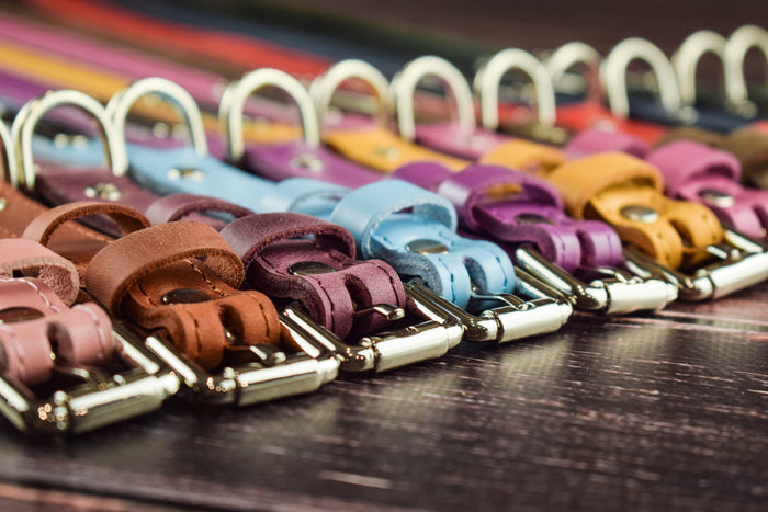 Leather collar for animals