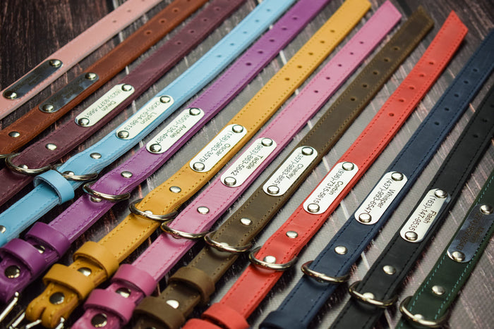 Leather collar for animals