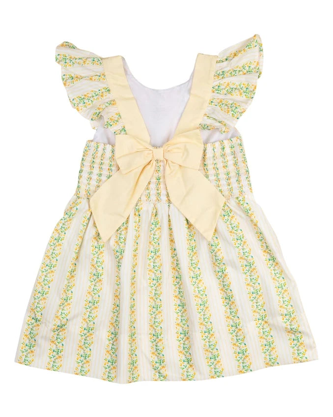 Lemony Stripes Dress
