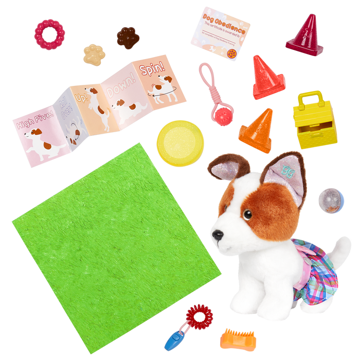 Maggie & Pup Training School Set