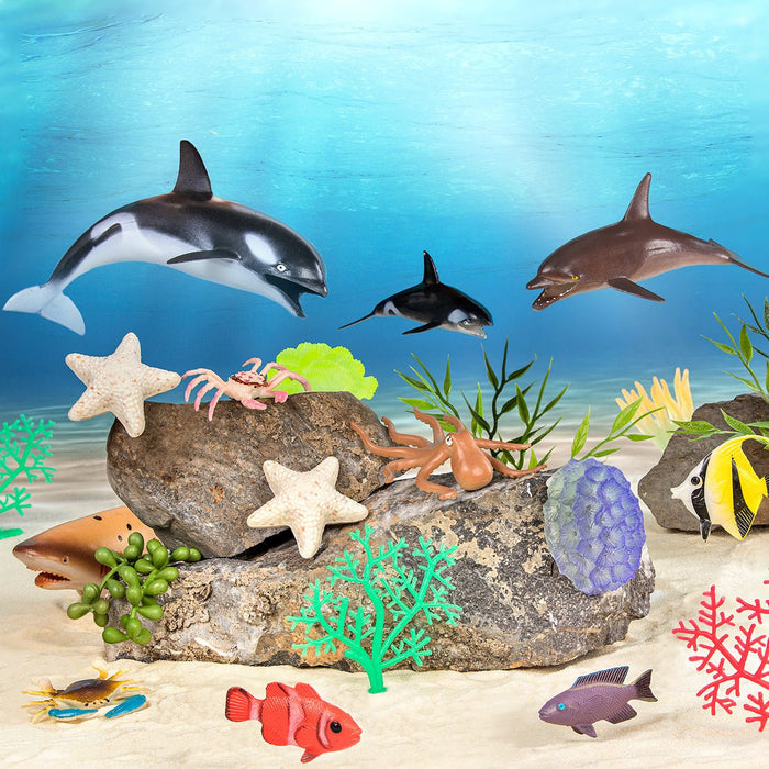 marine animals