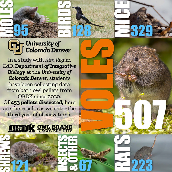 Medium 2-Pellet Comparison - FREE US Shipping
