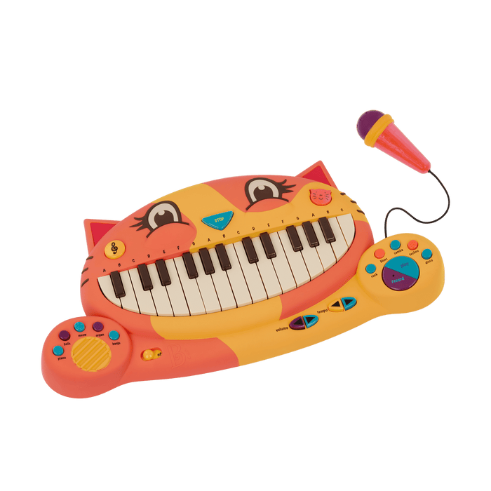 Interactive cat piano and microphone