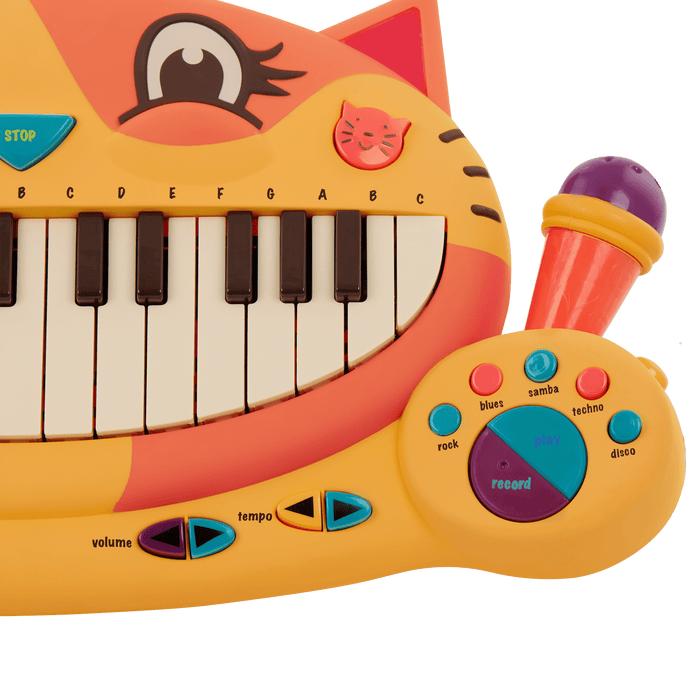 Interactive cat piano and microphone