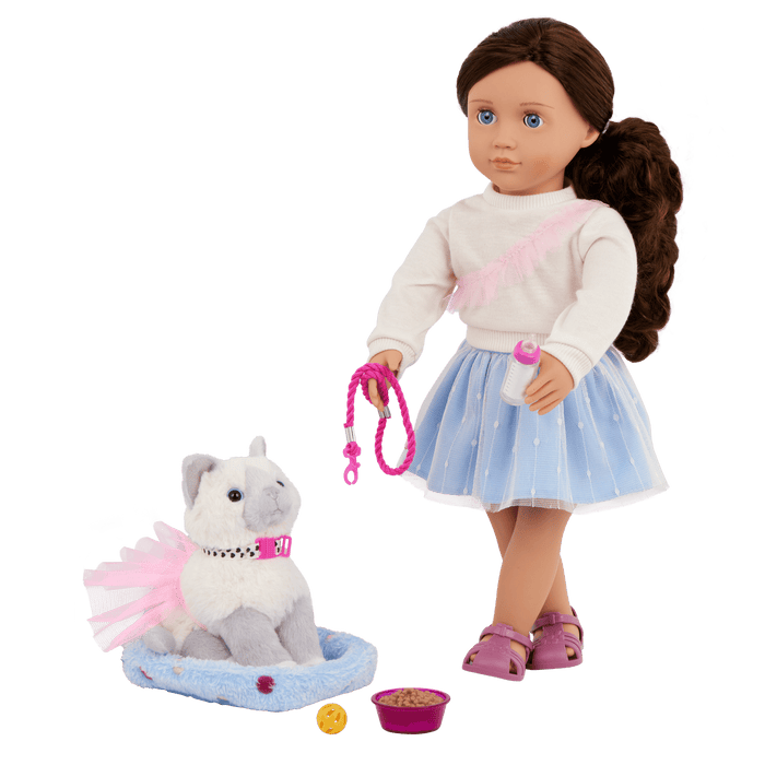 Our Generation 18" Doll Mindy, her Pet Cat Pepper and cat accessories