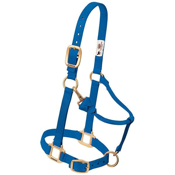 Suckling / Blue
