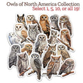 Owls of North America Sticker Collection -- All 19! featuring unique owl designs promoting wildlife education and conservation.