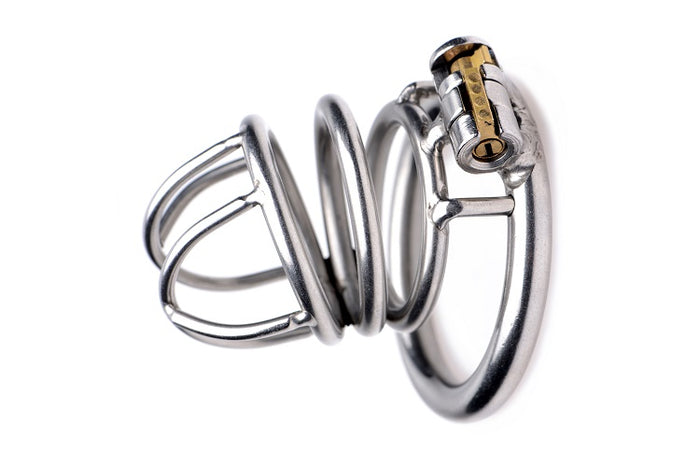 Pen Deluxe Stainless Steel Locking Chastity Cage Image 2