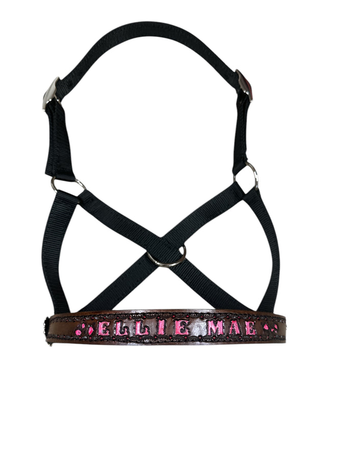 Personalized black Nylon cow halter all sizes.