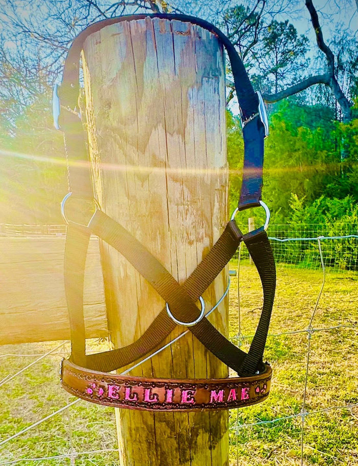 Personalized black Nylon cow halter all sizes.