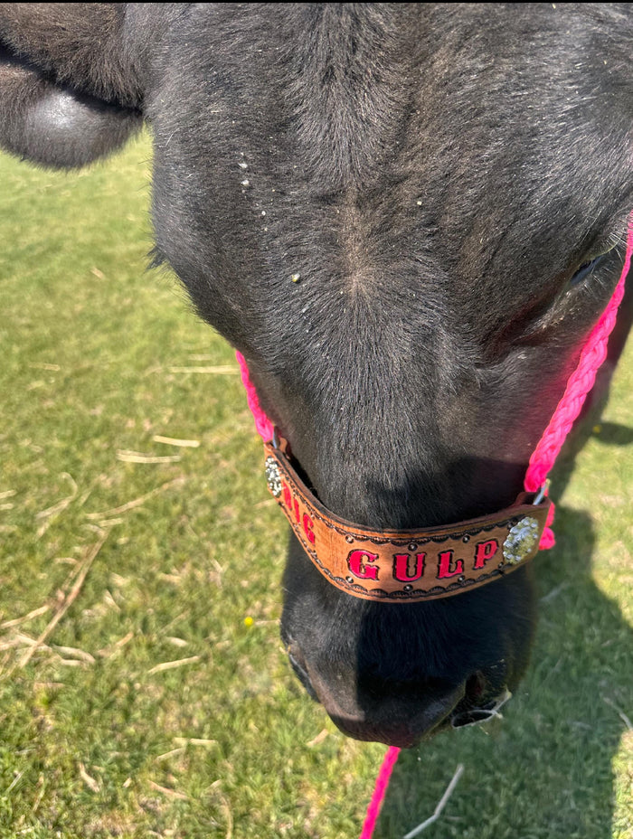 Personalized COW  halter large cow or mini cow size hot pink