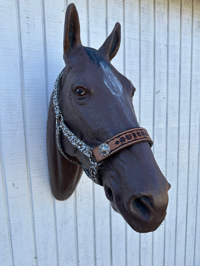 PERSONALIZED Cow print nylon horse halter