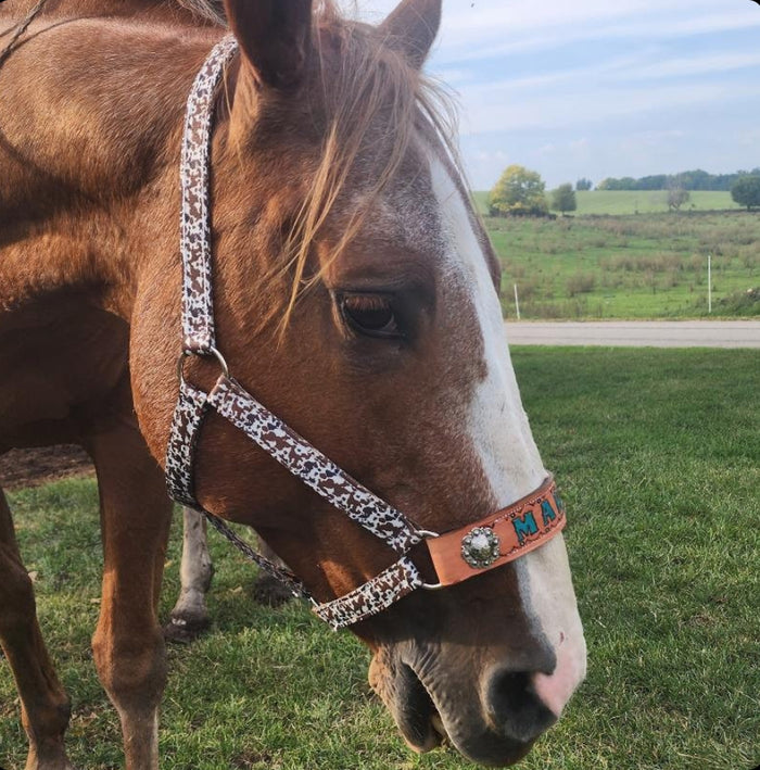 PERSONALIZED Cow print nylon horse halter