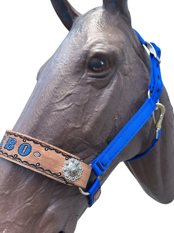 PERSONALIZED   nylon horse halter blue.