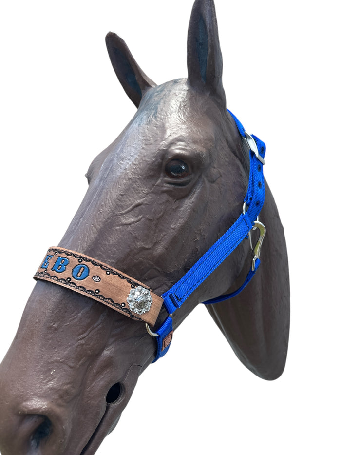 PERSONALIZED   nylon horse halter blue.