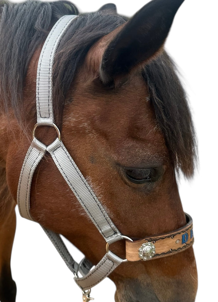 PERSONALIZED   nylon horse halter silver grey.