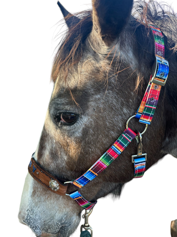 PERSONALIZED serape print nylon horse halter.