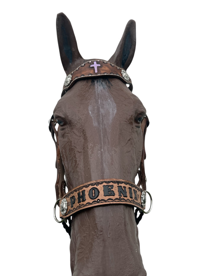 Personalized side pull hackamore  bitless attachment.... with black or brown chinstrap...all sizes