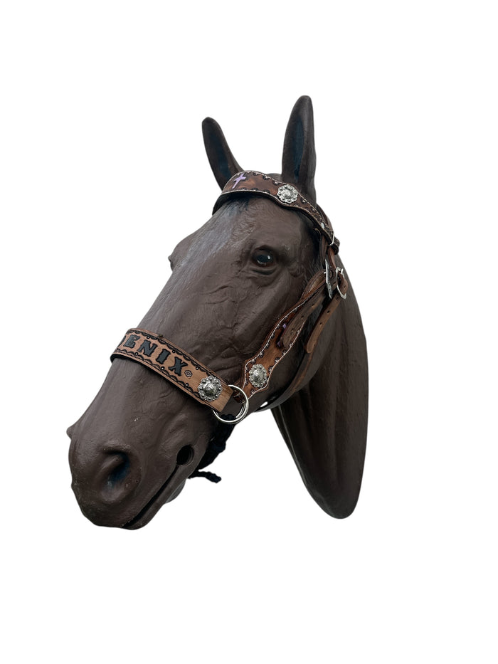 Personalized side pull hackamore  bitless attachment.... with black or brown chinstrap...all sizes