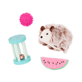 Our Generation Pet Hedgehog Set for 18-inch Dolls