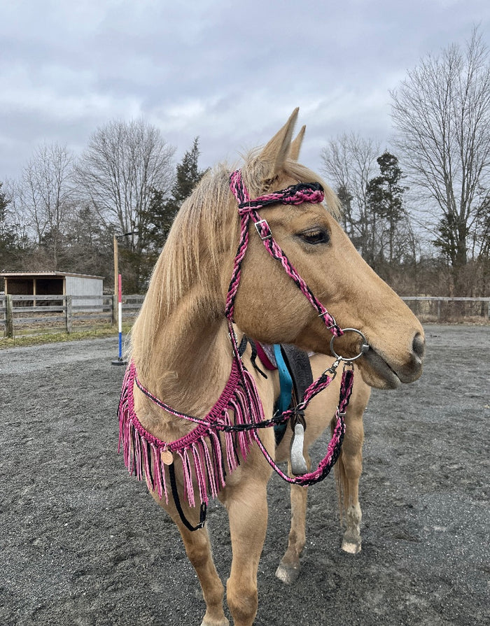 Pink and Black fringe breast collar with a wither strap
