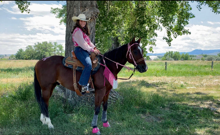 Pink ombré Tack set …. All sizes