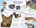 Red Wolf Poster