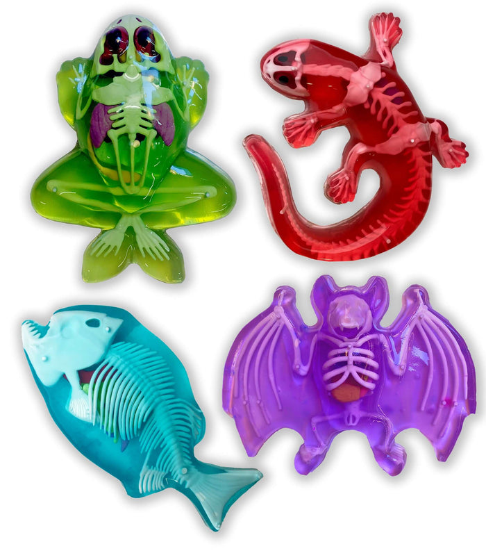 Save On ALL 4 Dissect It!