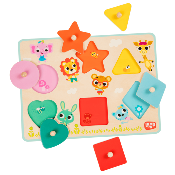 Shape wooden peg puzzle