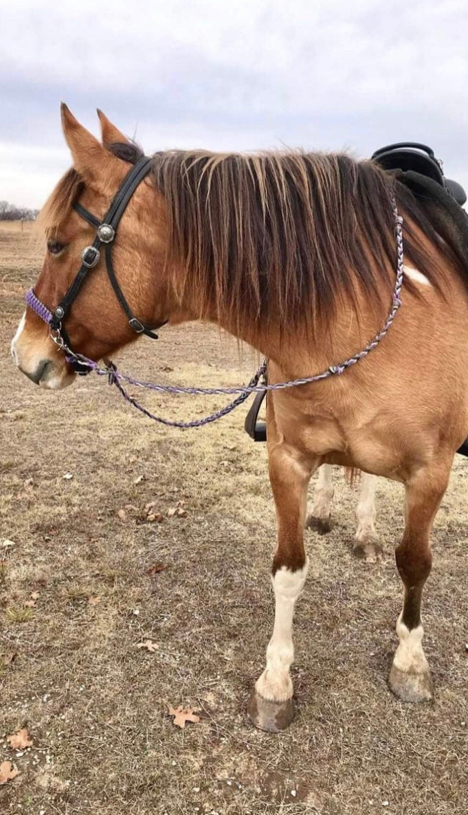 Side pull hackamore "with a whoa" bitless attachment.... black with  brown chinstrap...all sizes