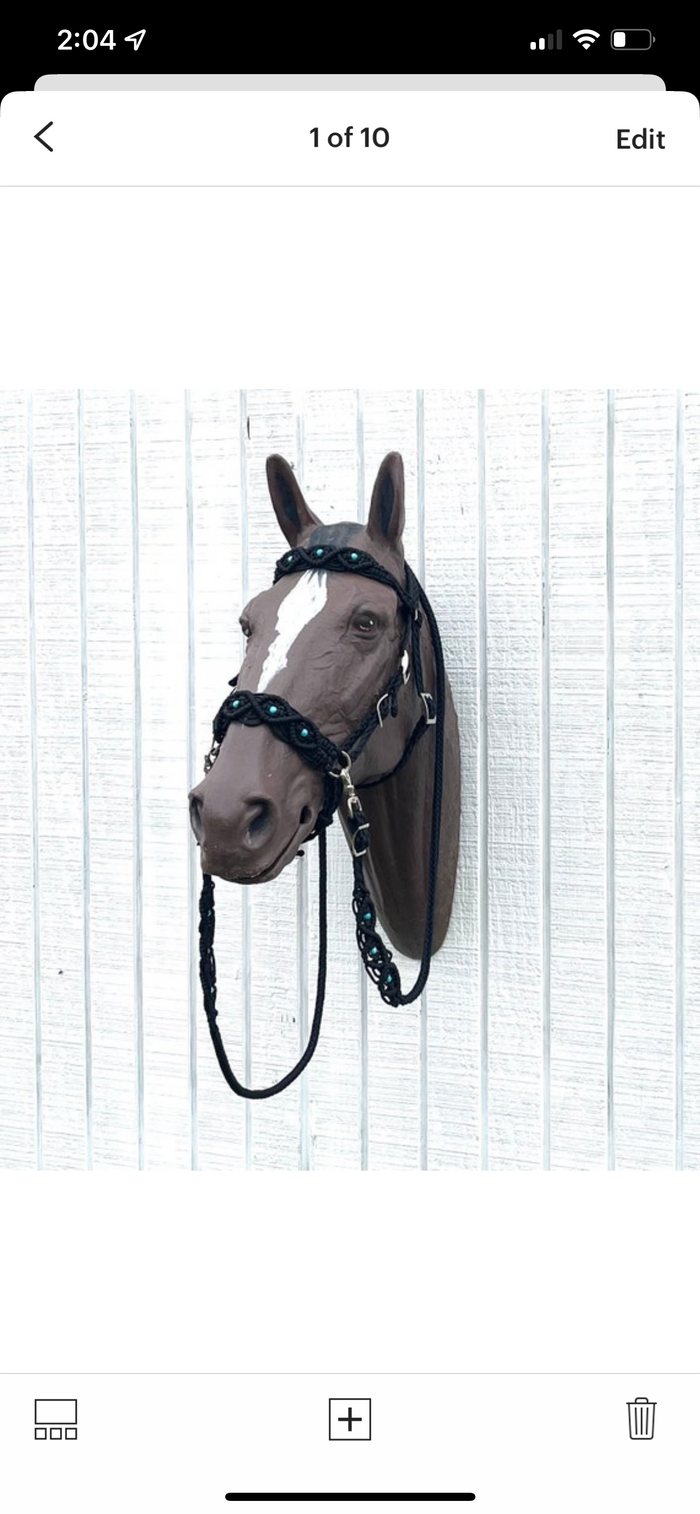 Side Pull Hackamore with jasper braided into a fancy noseband bitless attachment all sizes SOLID COLOR